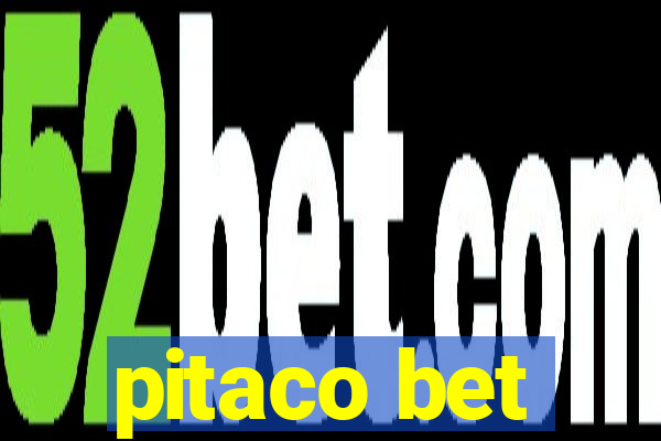 pitaco bet